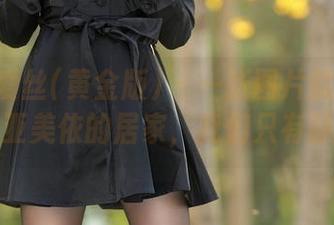 AISS爱丝(黄金版) - 一张图片就能让你羡慕亚美依的居家，我们只有静静看