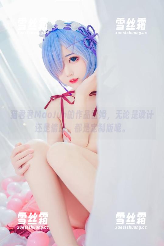 猫君君MaoJun的作品雷姆，无论是设计还是情感，都是定制版呢。
